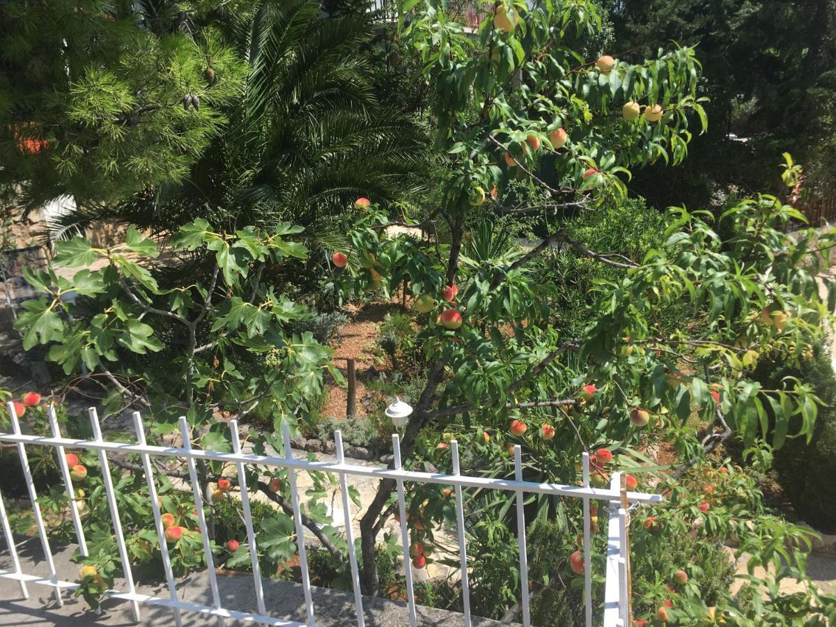 Beach House Starigrad Paklenica Eksteriør bilde